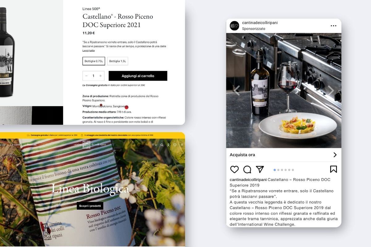 Webeing_Caso studio_Cantina Colli Ripani_Ecommerce