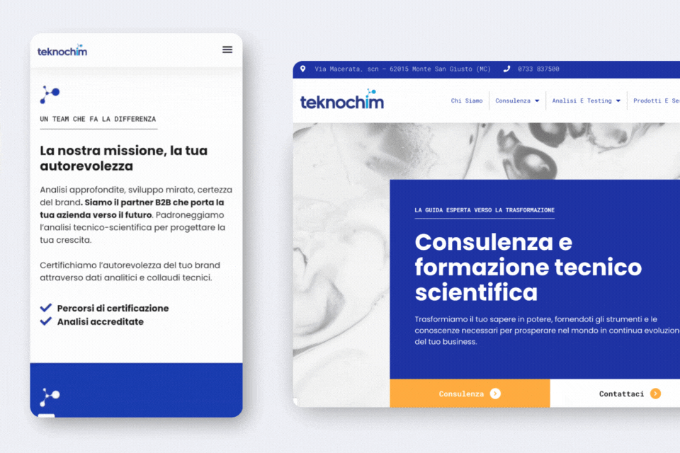 Webeing_Teknokchim sito web