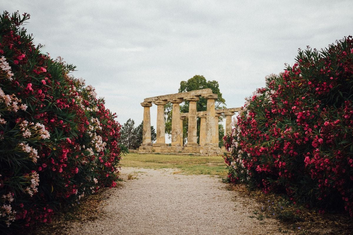 Scorcio fotografico della Tenuta Visconti